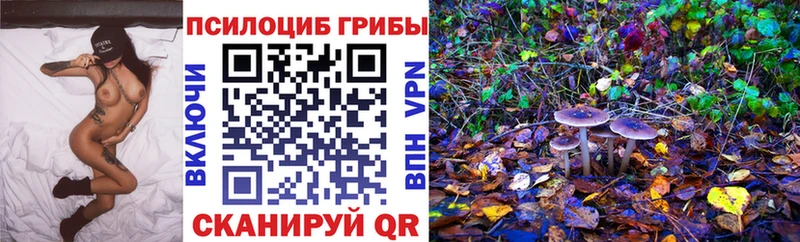 mega Орск Галлюциногенные грибы Cubensis